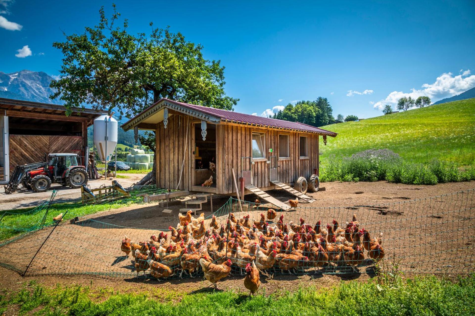 Stillinghof Saalfelden Buitenkant foto