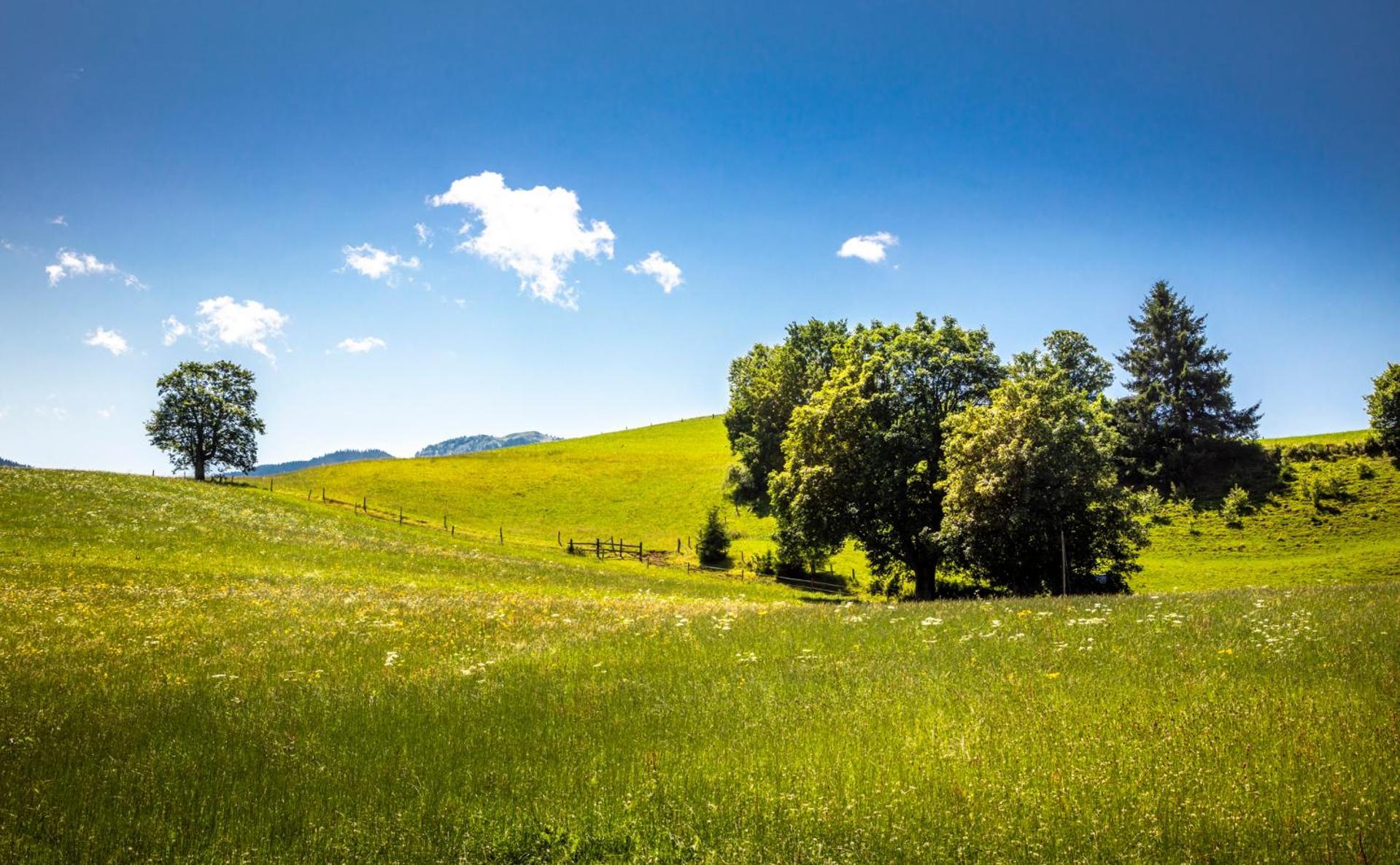 Stillinghof Saalfelden Buitenkant foto