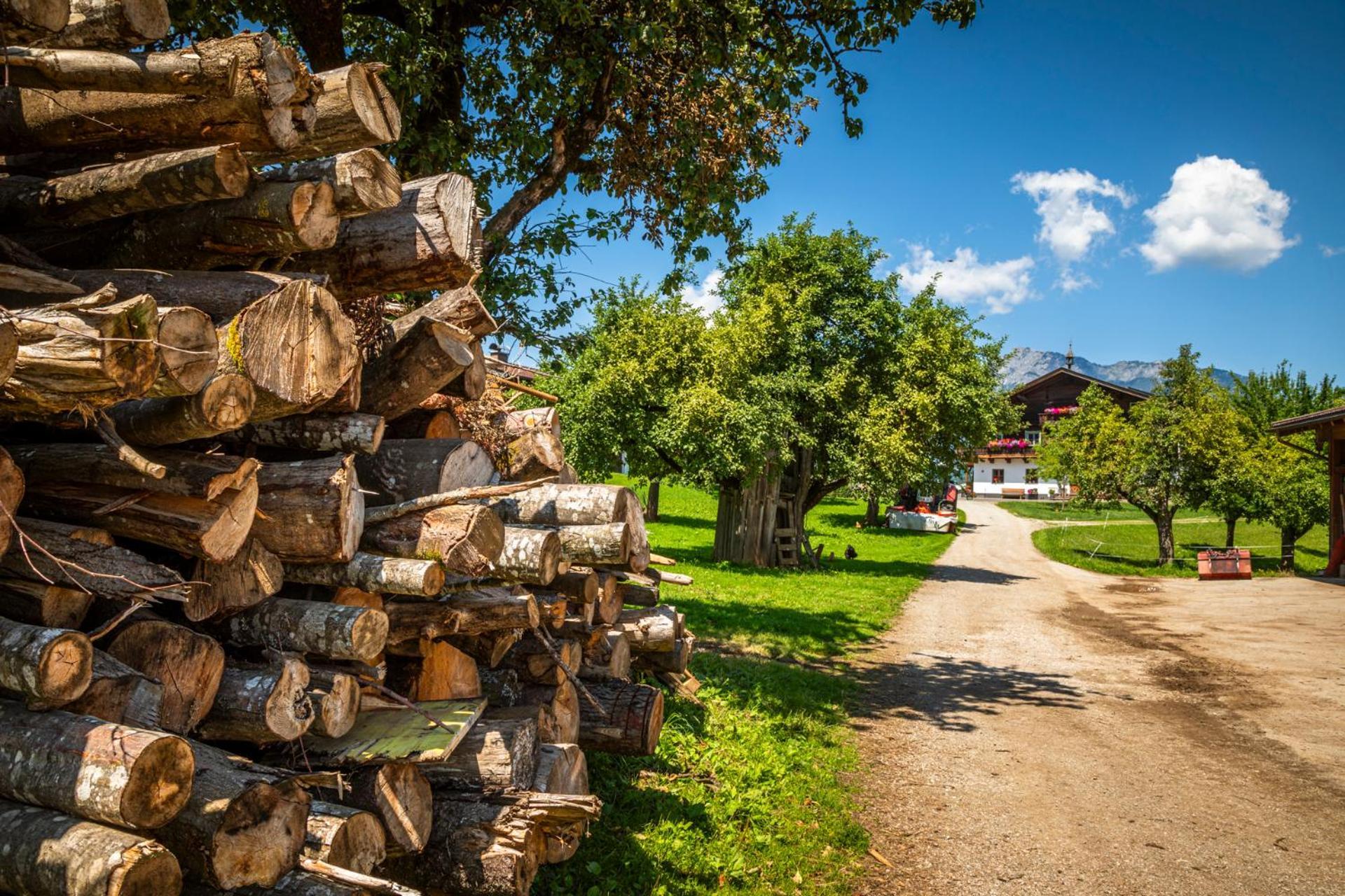 Stillinghof Saalfelden Buitenkant foto