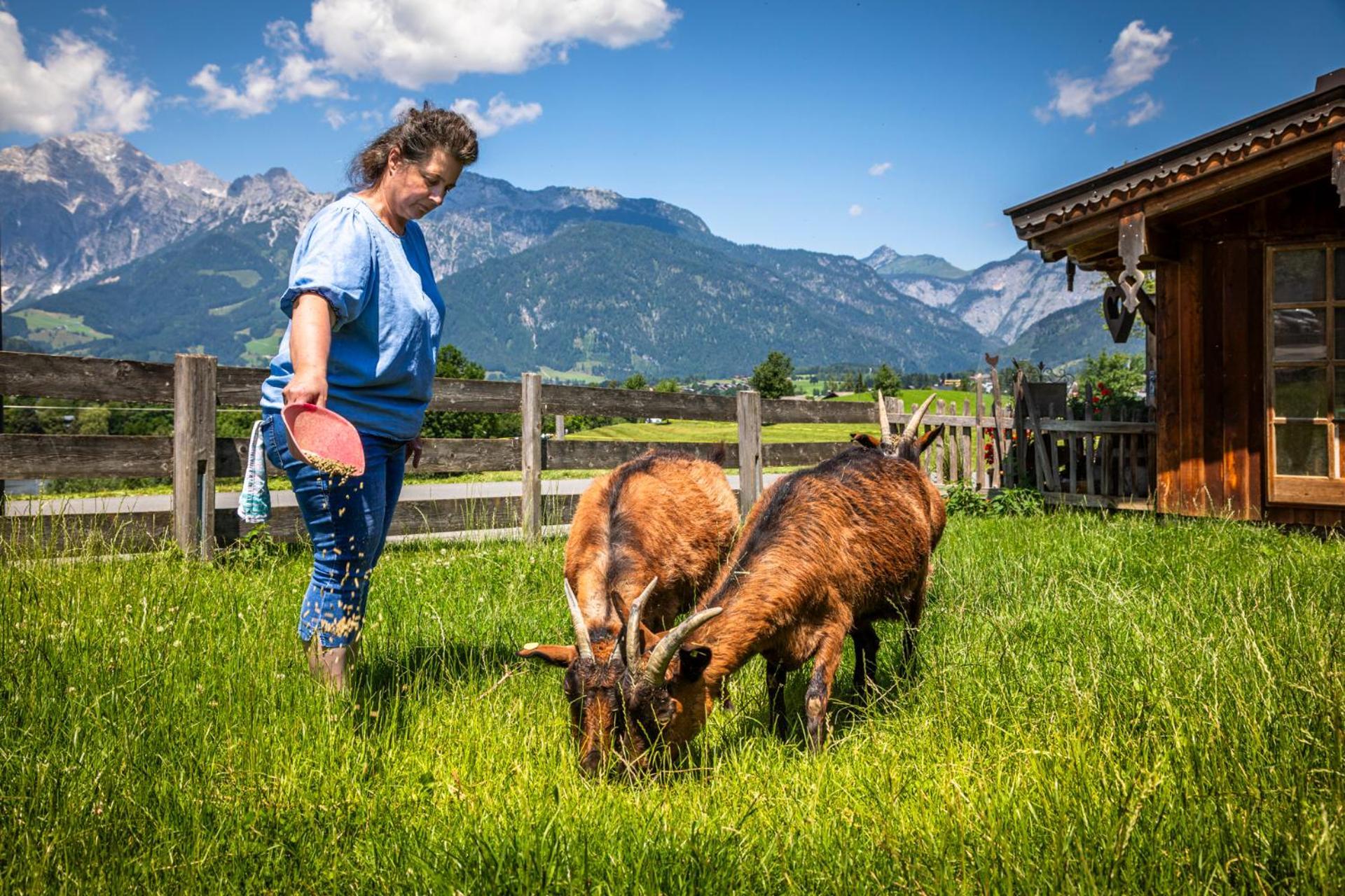 Stillinghof Saalfelden Buitenkant foto