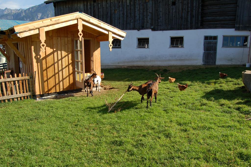 Stillinghof Saalfelden Buitenkant foto